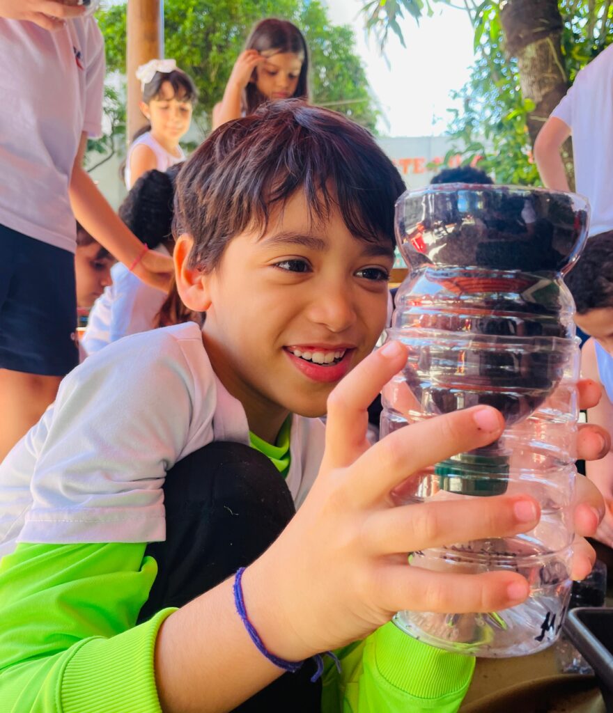 alimentos saudáveis