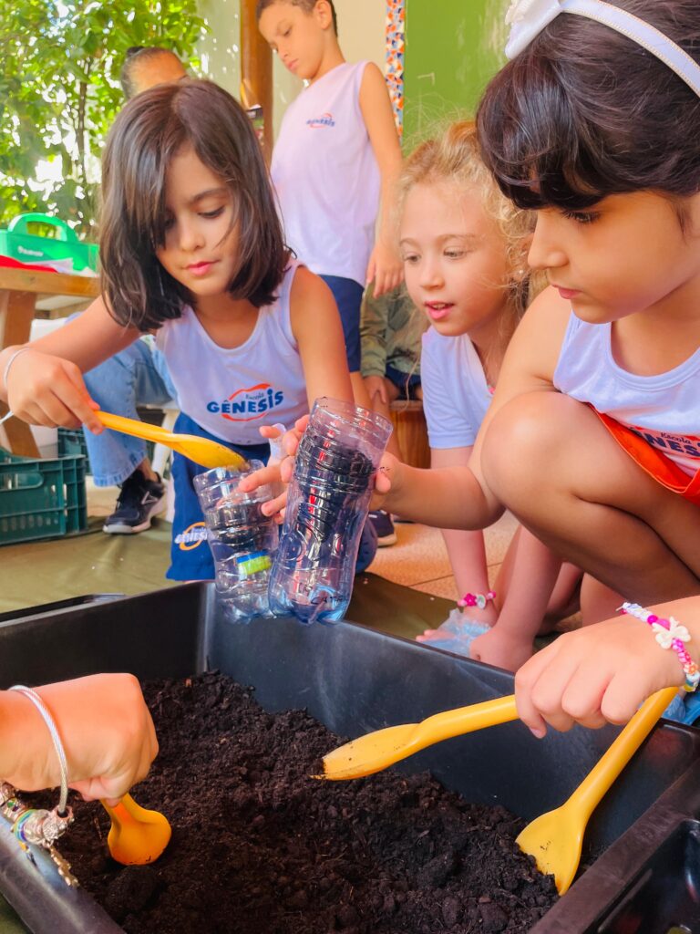 alimentos saudáveis