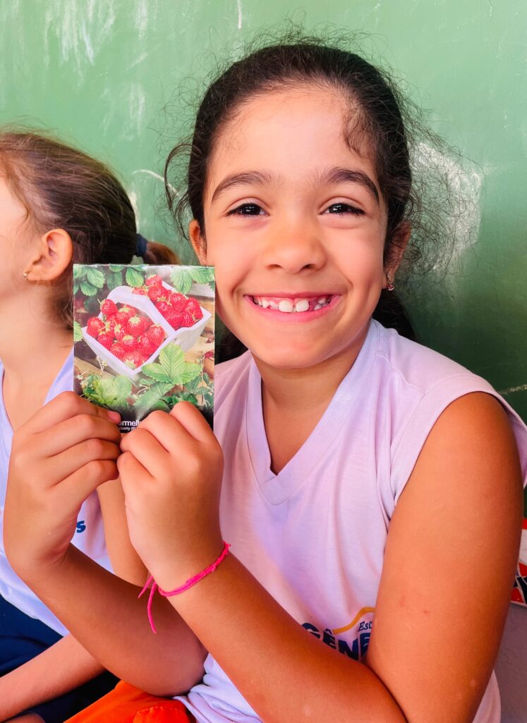 alimentos saudáveis